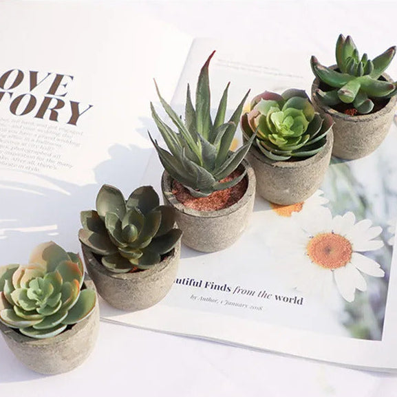Mini Potted Succulents - Slate Gray Pot