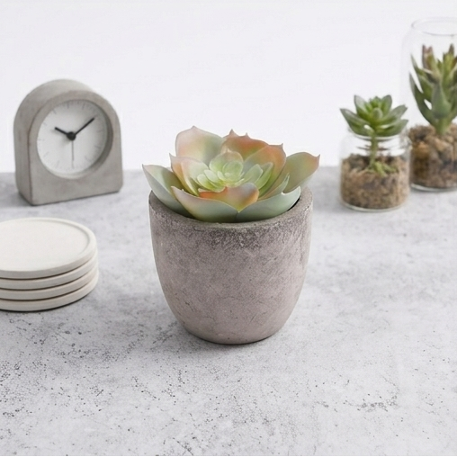 Mini Potted Succulents - Slate Gray Pot