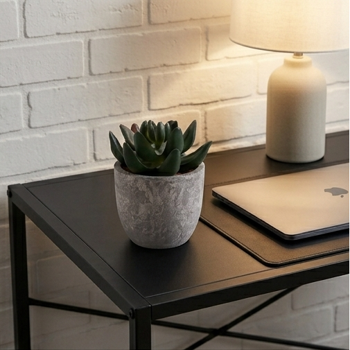 Mini Potted Succulents - Slate Gray Pot