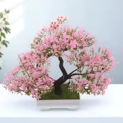 Cherry Blossom Bonsai