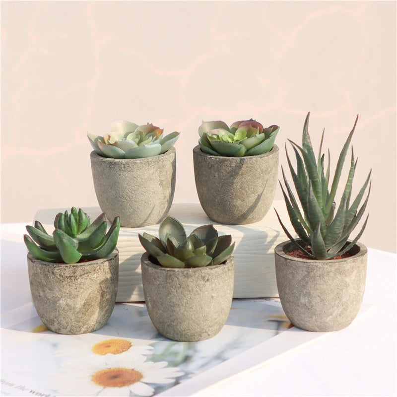 Mini Potted Succulents - Slate Gray Pot