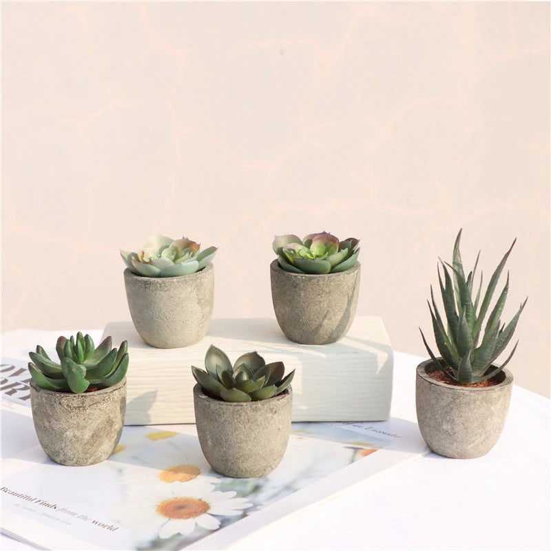 Mini Potted Succulents - Slate Gray Pot