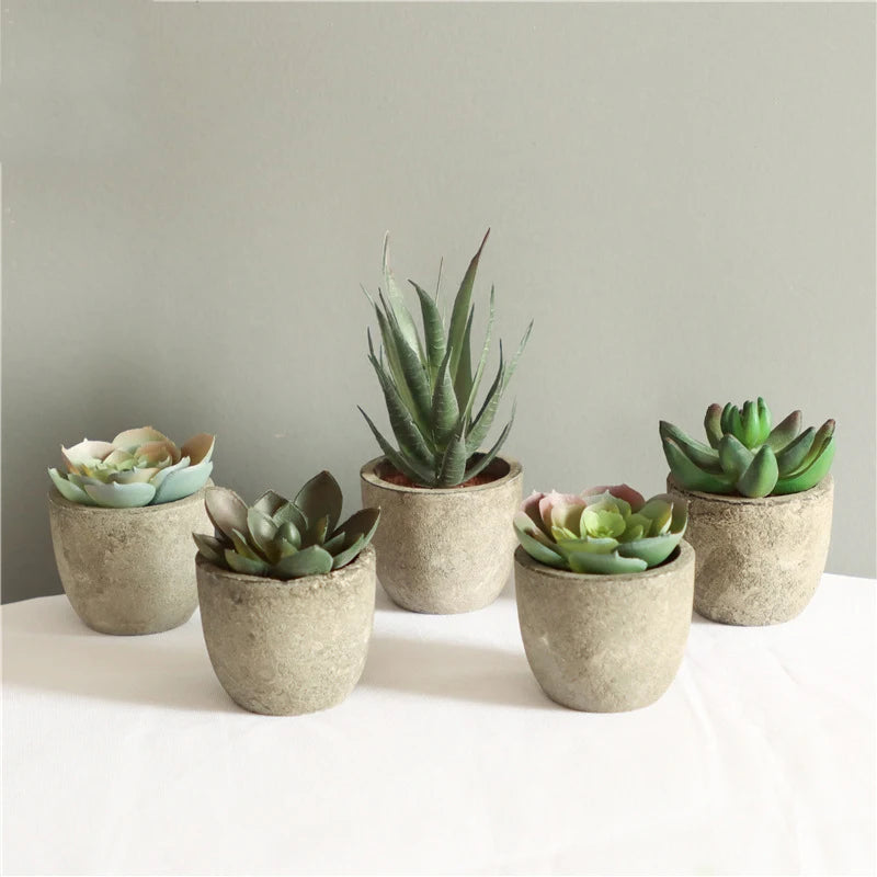 Mini Potted Succulents - Slate Gray Pot