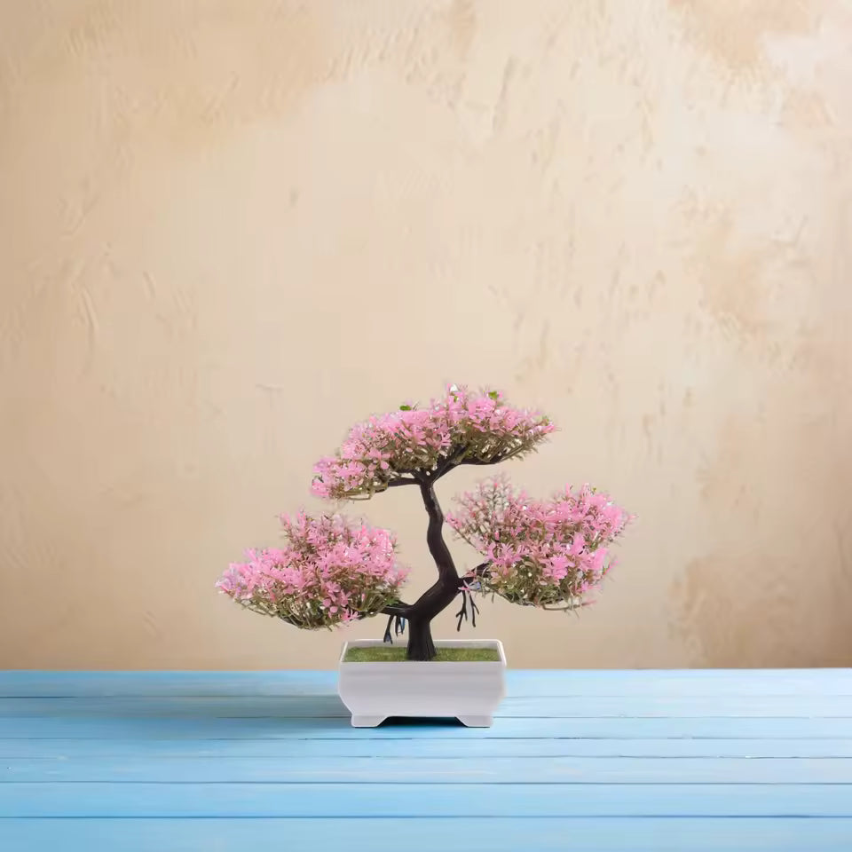 Cherry Blossom Bonsai